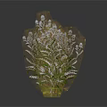 Four Different Decorative Greenery Plants With Delicate Branches Small Leaves And Flowers