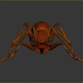 Detailed Close up View of Red Ant with Shiny Exoskeleton and Extended Legs