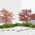 Two Red Leaf Trees In Garden With Green Foliage And Pebble Path 3d model