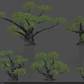 Diverse Plant Combination with Various Shaped and Sized Trees for Landscape Design Decorative Models