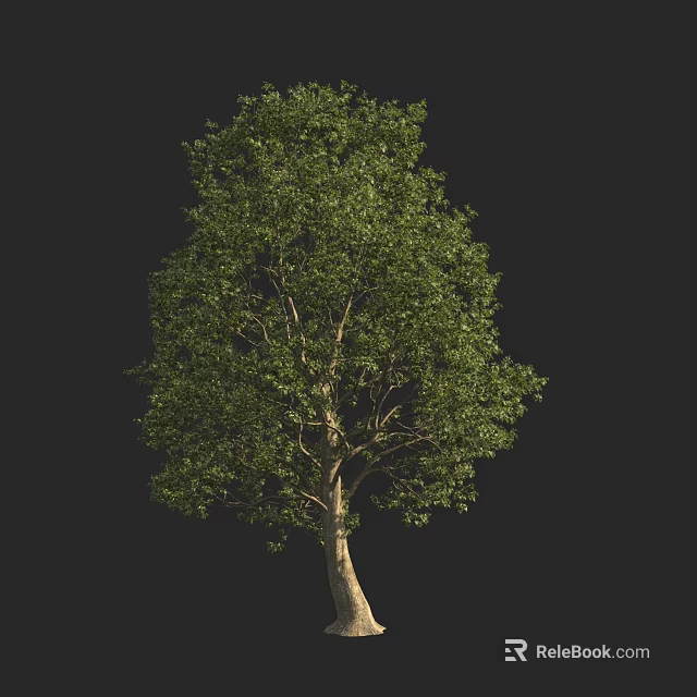 Tall Arbor With Lush Green Leaves And Strong Trunk In Natural Setting 3d model 