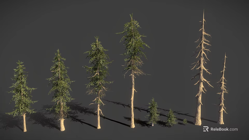 Various Types of Trees with Different Heights and Natural Growth Characteristics 3d model 