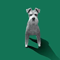 Cute Gray Schnauzer Dog Standing On Green Background With Shadow 3d model