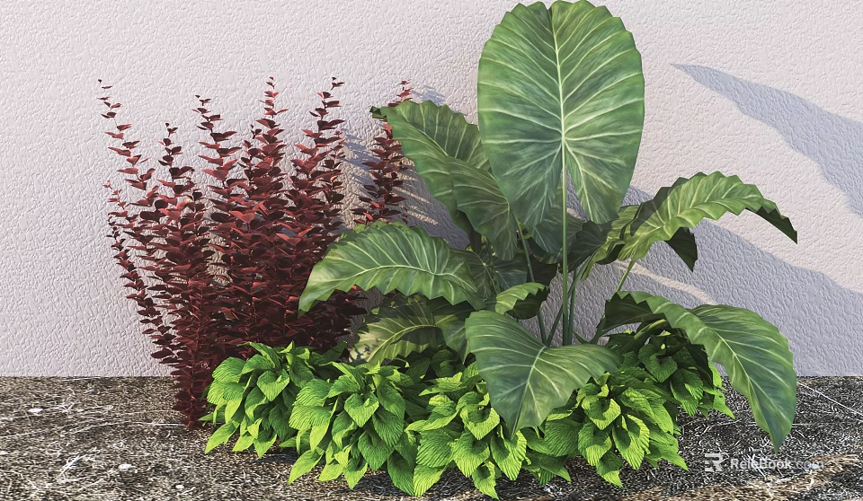 Vibrant Garden Plant Arrangement Featuring Red Foliage Large Green Leaves And Lush Greenery 3d model 
