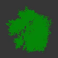 Tall Arbor With Lush Green Leaves And Thick Trunk Mountain Backdrop