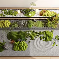 Lush Green Moss Indoor Landscape With Decorative Stones Small Plants And Smooth Sand Arrangement