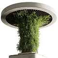 Decorative Column Covered With Green Foliage And Circular Wooden Top For Garden Design