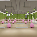 Modern Yoga Room School Dance Classroom 3d model