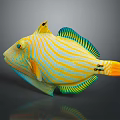 Colorful Tropical Fish With Yellow And Blue Stripes Vibrant Body And Green Fins