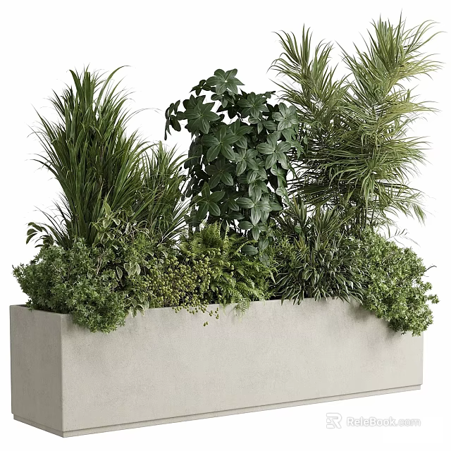 Decorative Bonsai Potted Plants With Various Green Leaves In Rectangular Gray Planter 3d model 