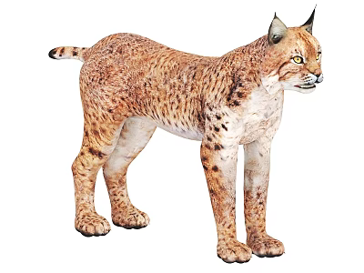 Realistic Standing Lynx With Brown Spotted Fur Tufted Ears And Green Eyes 3d model