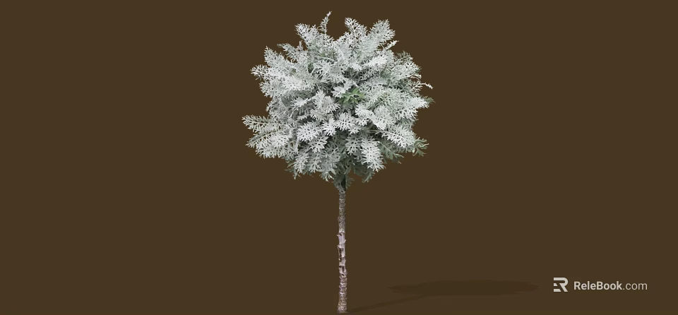 Shrub With Slender Trunk Featuring White Leaves Against Brown Background 3d model 