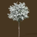 Shrub With Slender Trunk Featuring White Leaves Against Brown Background