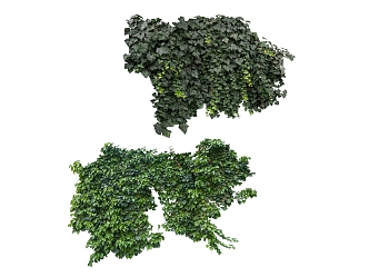 green plant vine 3d model