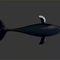 Realistic 3D Model of Blue Whale with White Fins on Dark Reflective Background