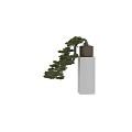 Natural Decorative Bonsai Tree With Layered Pine Foliage On White Column