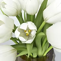 Decorative Ornament Set with Transparent Vase White Tulips and Green Leaves for Home Decor