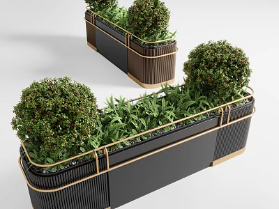 Bonsai Potted Plants in Black Brown Planters with Golden Borders Featuring Round Shrubs and Greenery 3d model
