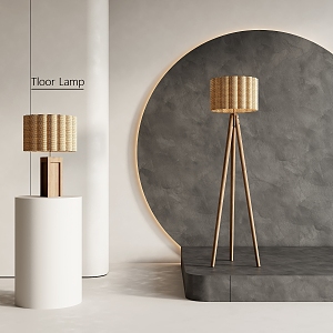 Wind Floor Lamp Table Lamp 3d model