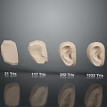 Medical Devices 3D Ear and Head Models with Different Triangle Meshes Detail Levels