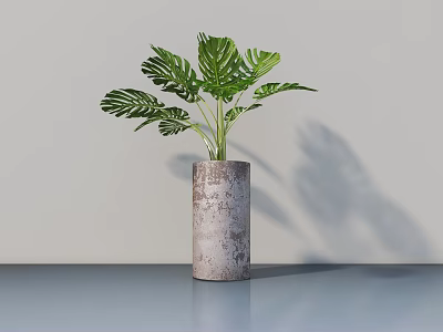 Monstera Potted Plant With Rustic Cylindrical Textured Pot On Smooth Surface Light Background 3d model