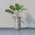 Monstera Potted Plant With Rustic Cylindrical Textured Pot On Smooth Surface Light Background
