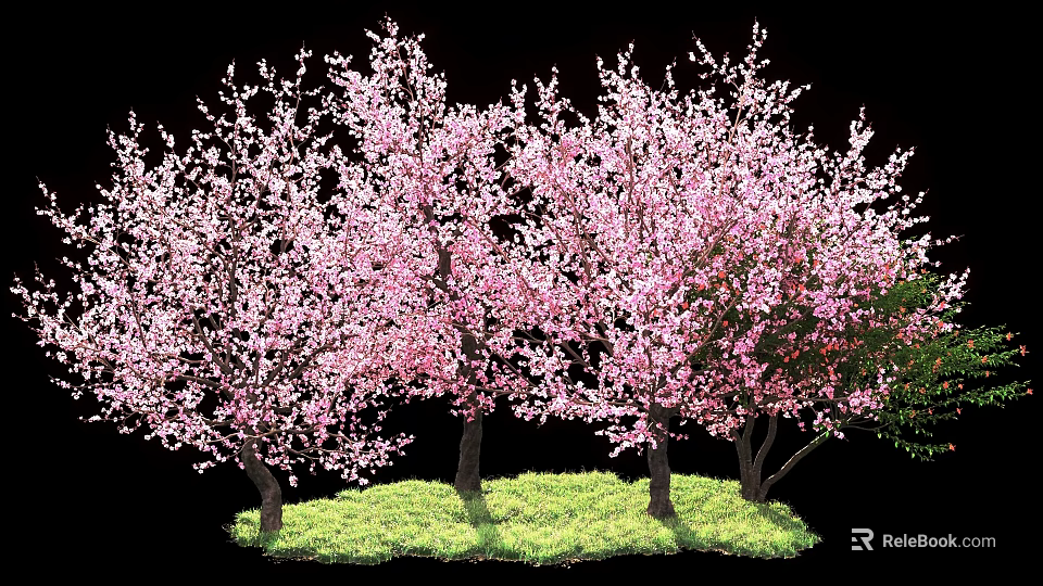 Flowering Trees With Pink Blossoms Growing On Green Grass With Multiple Trunks 3d model