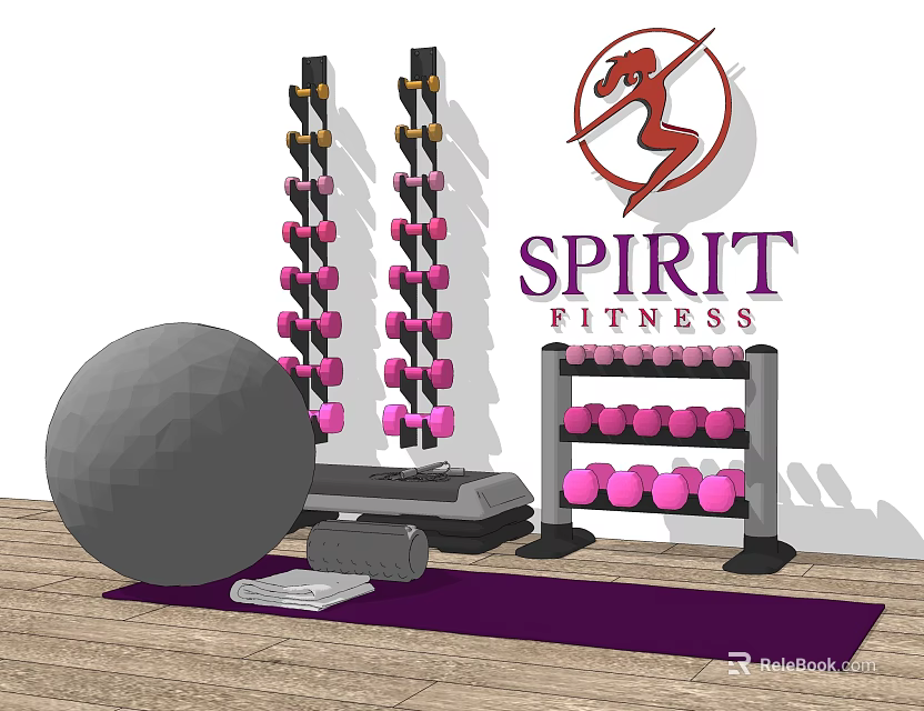 Spirit Fitness Sports Equipment With Dumbbell Rack Pink Dumbbells Large Exercise Ball And Yoga Mat 3d model 