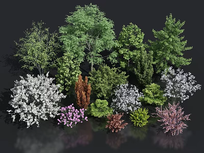 Diverse Arbor Trees Collection For Landscape Design With Various Colors And Species 3d model