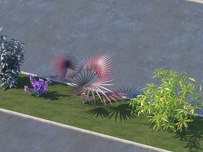 Colorful Garden Flowers With Purple Blooms Red Fan Leaves And Green Grass 3d model
