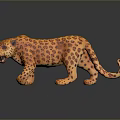 Orange Leopard Model with Black Spots on Dark Background and Reflection 3d model