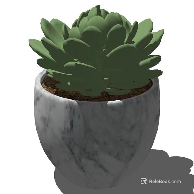 Succulent Bonsai Potted Plant with Marble Textured Gray White Pot and Thick Green Leaves 3d model 