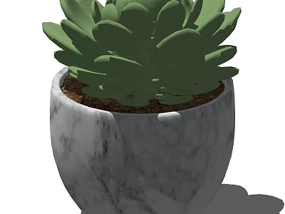 Succulent Bonsai Potted Plant with Marble Textured Gray White Pot and Thick Green Leaves 3d model