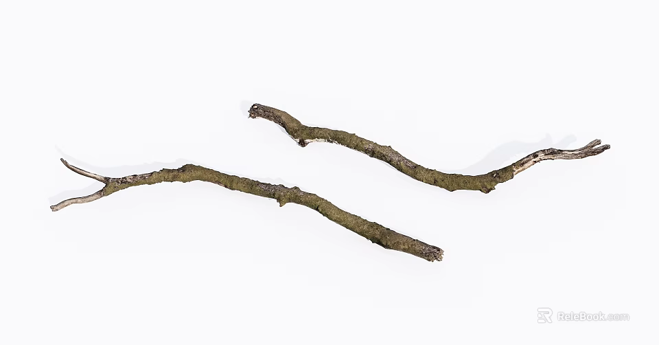 Natural Wooden Branches With Mossy Texture And Organic Shape For Decoration 3d model 