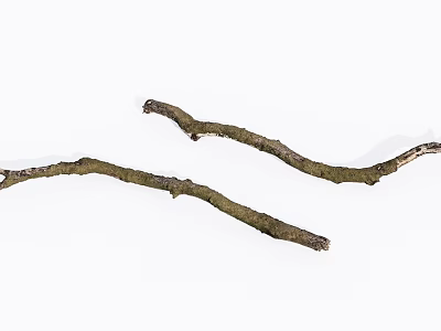 Natural Wooden Branches With Mossy Texture And Organic Shape For Decoration 3d model