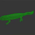3D Rendered Salamander Character With Detailed Skin Texture And Red Body Features