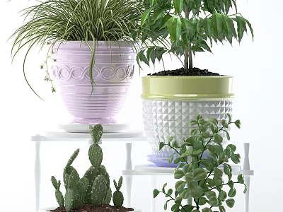 Potted Plants Display With Various Greenery And Decorative Planters On White Shelf 3d model