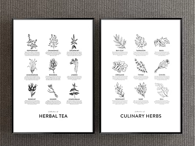 Black and White Framed Botanical Wall Art of Herbal Tea and Culinary Herbs 3d model