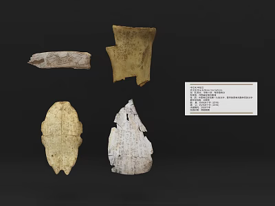 Antique Carved Bone Fragment Decorative Ornament Set Featuring Intricate Textured Surfaces 3d model