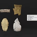 Antique Carved Bone Fragment Decorative Ornament Set Featuring Intricate Textured Surfaces