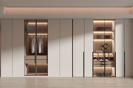 Modern wardrobe 3d model