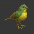 Vibrant Green and Yellow Bird with Black Tail Standing on Dark Background