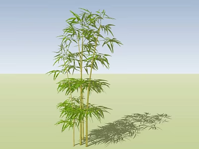 Tall Green Bamboo Plant With Fresh Leaves And Shadow Under Blue Sky 3d model