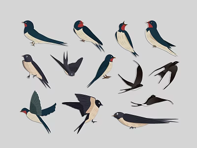Various Flying Swallow Illustrations Showing Different Poses And Feather Colors 3d model