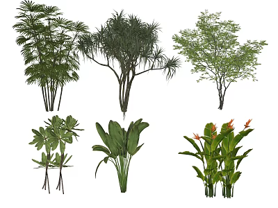 Indoor Plant Combination With Assorted Tropical Leafy And Ornamental Green Varieties 3d model
