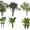 Indoor Plant Combination With Assorted Tropical Leafy And Ornamental Green Varieties