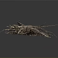 Natural Dry Twigs Stacked In Pile With Various Sizes And Textures