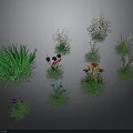 Various Garden Plants With Green Grass And Colorful Flowers In Different Forms