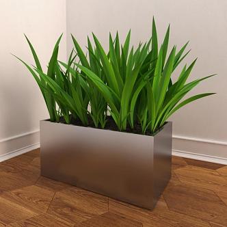 potted plant 3d model