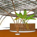 Wooden Pergola with Grid Like Roof Curved Pillars and Central Banana Plant